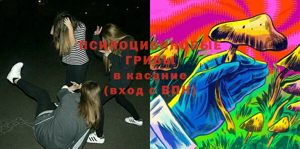 молекула духа Алзамай