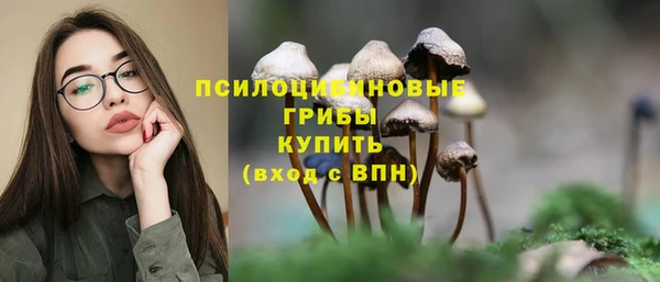 молекула духа Алзамай