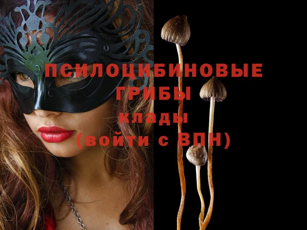молекула духа Алзамай