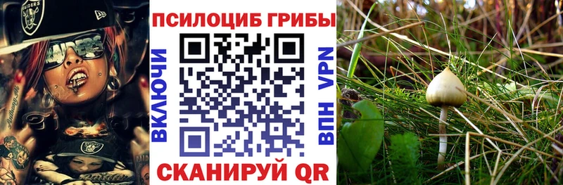 Псилоцибиновые грибы Psilocybine cubensis  где можно купить наркотик  Билибино 